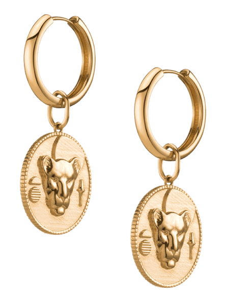 Rose Gold Hoop Earrings